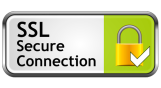 Seguridad Online